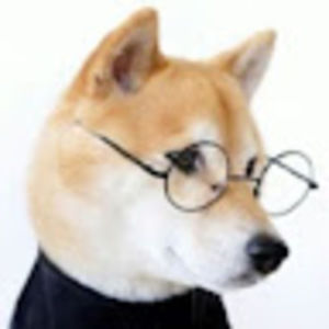 Meet your Posher, Wang